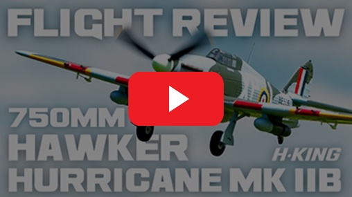 Flight Review Video